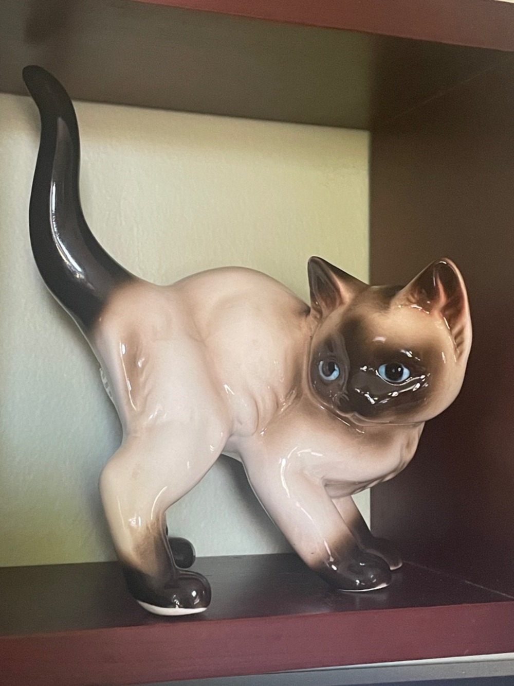 Dynamic Cat Pose